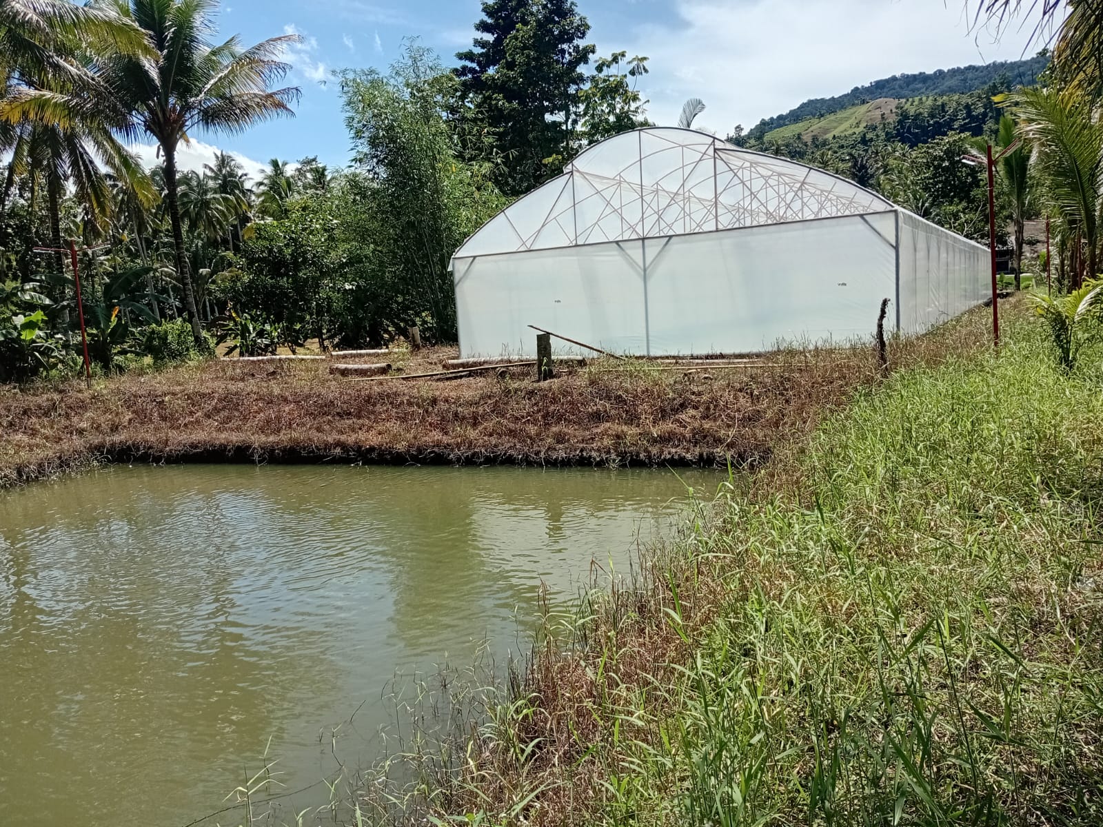 Perikanan Darat dan Perkebunan