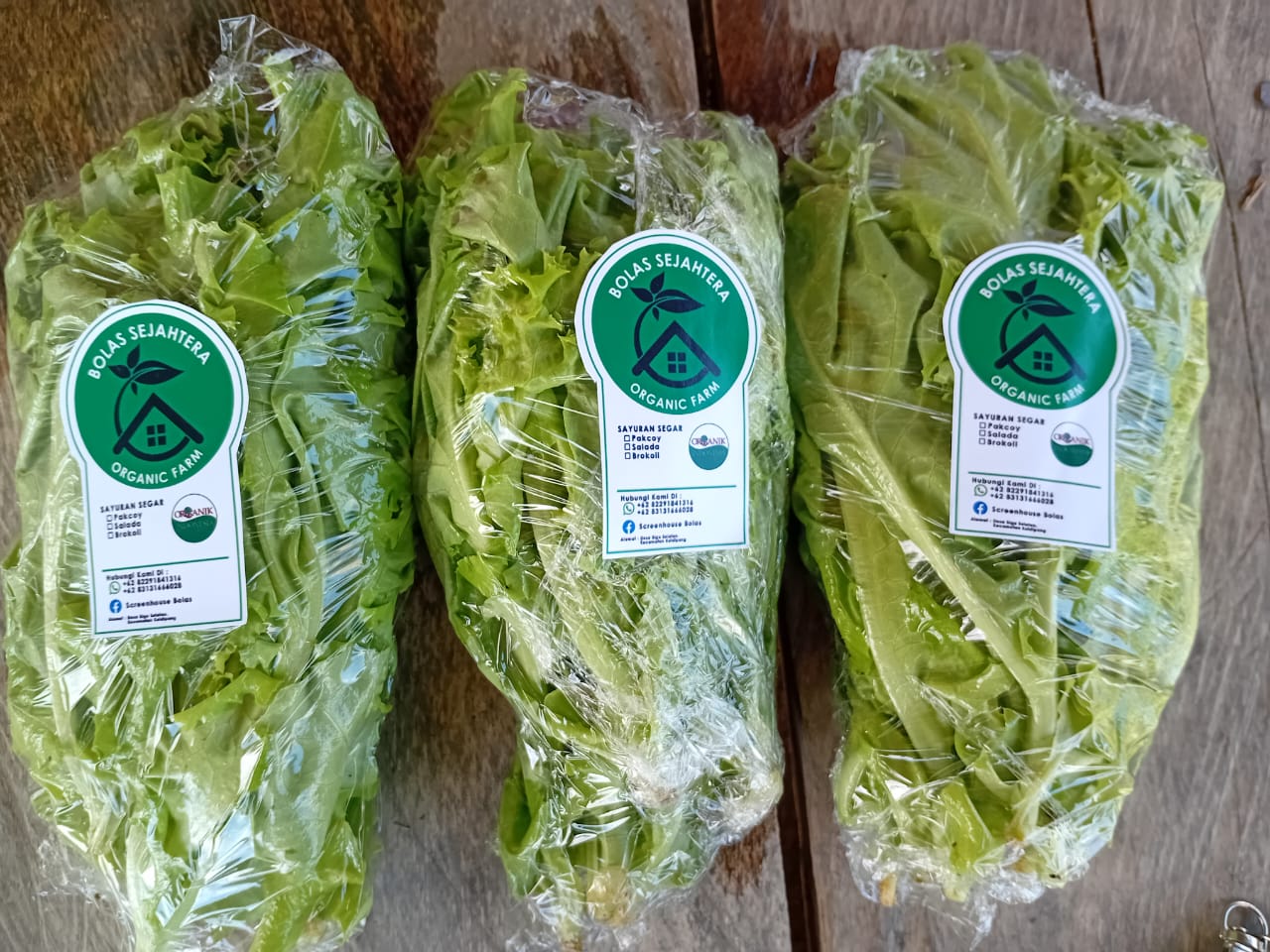 Produk Pertanian  Bolas Sejahtera